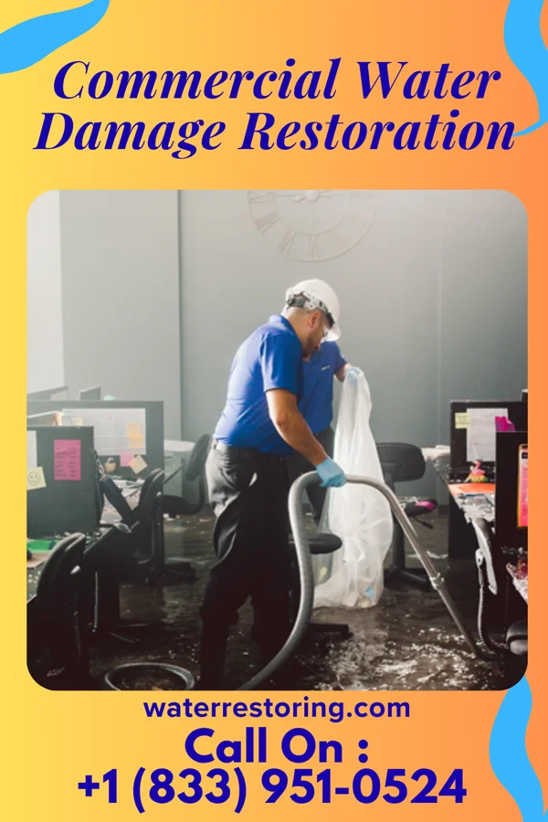 Commercial Water Damage Restoration in Lincoln Park, NJ