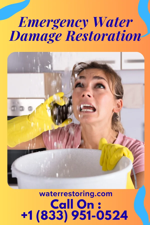 Emergency Water Damage Restoration in Lincoln Park, NJ