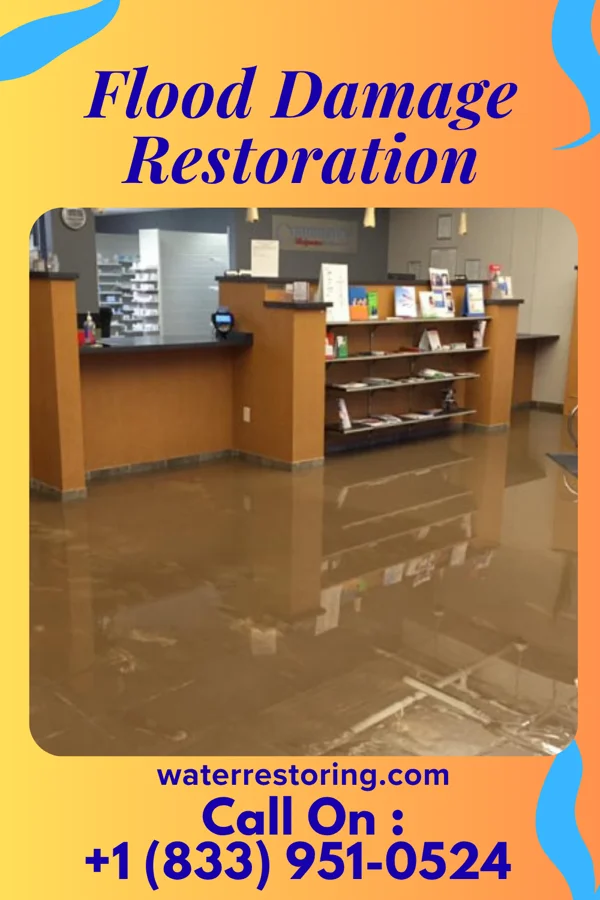 Flood Damage Restoration in Lincoln Park, NJ