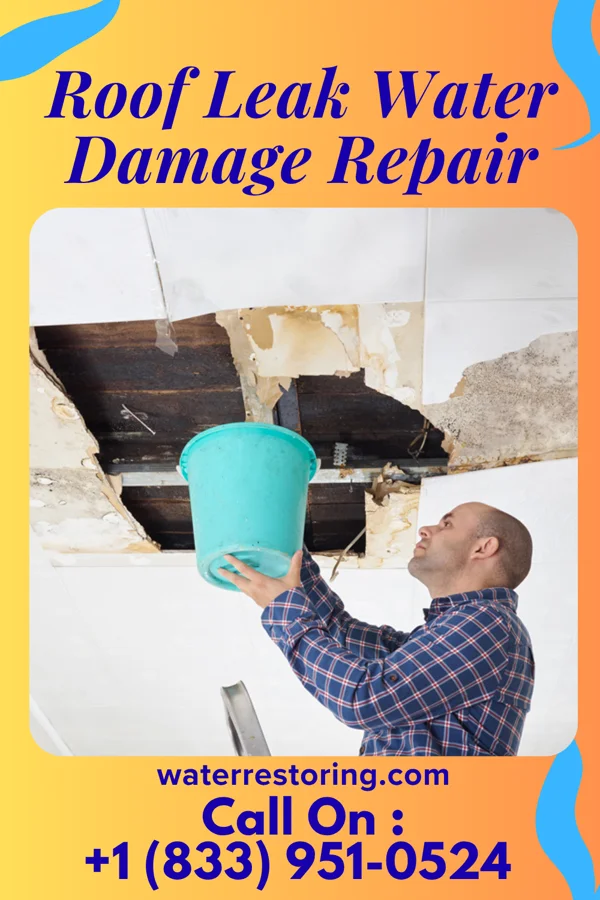 Roof Leak Water Damage Repair in Lincoln Park, NJ