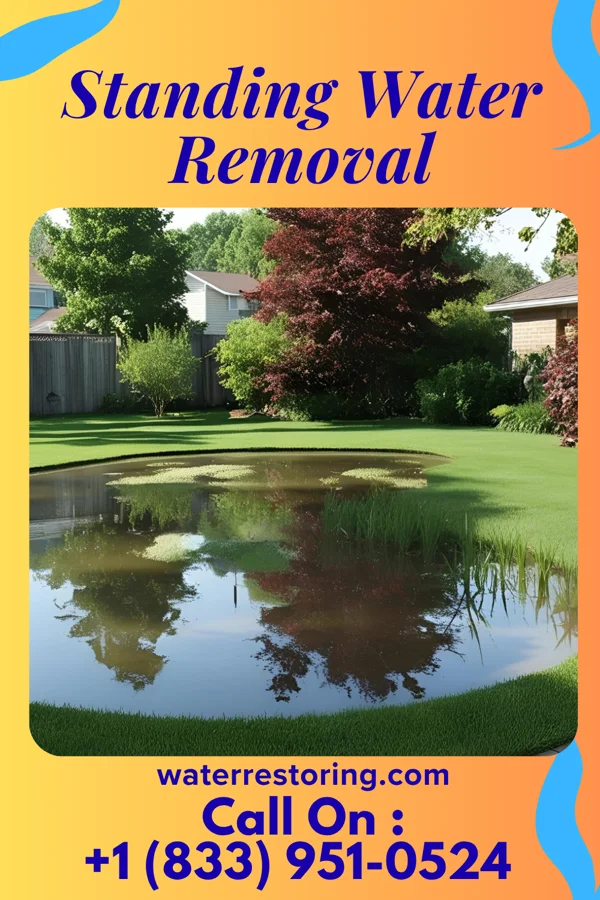 Standing Water Removal in Lincoln Park, NJ